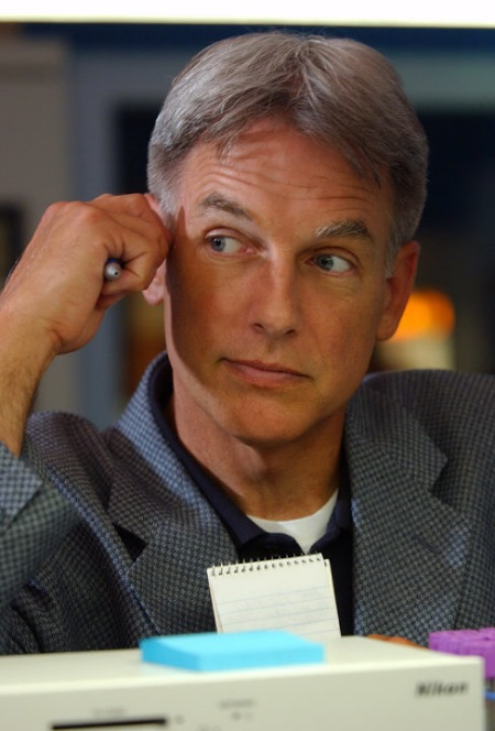 Smith & Mark Harmon look