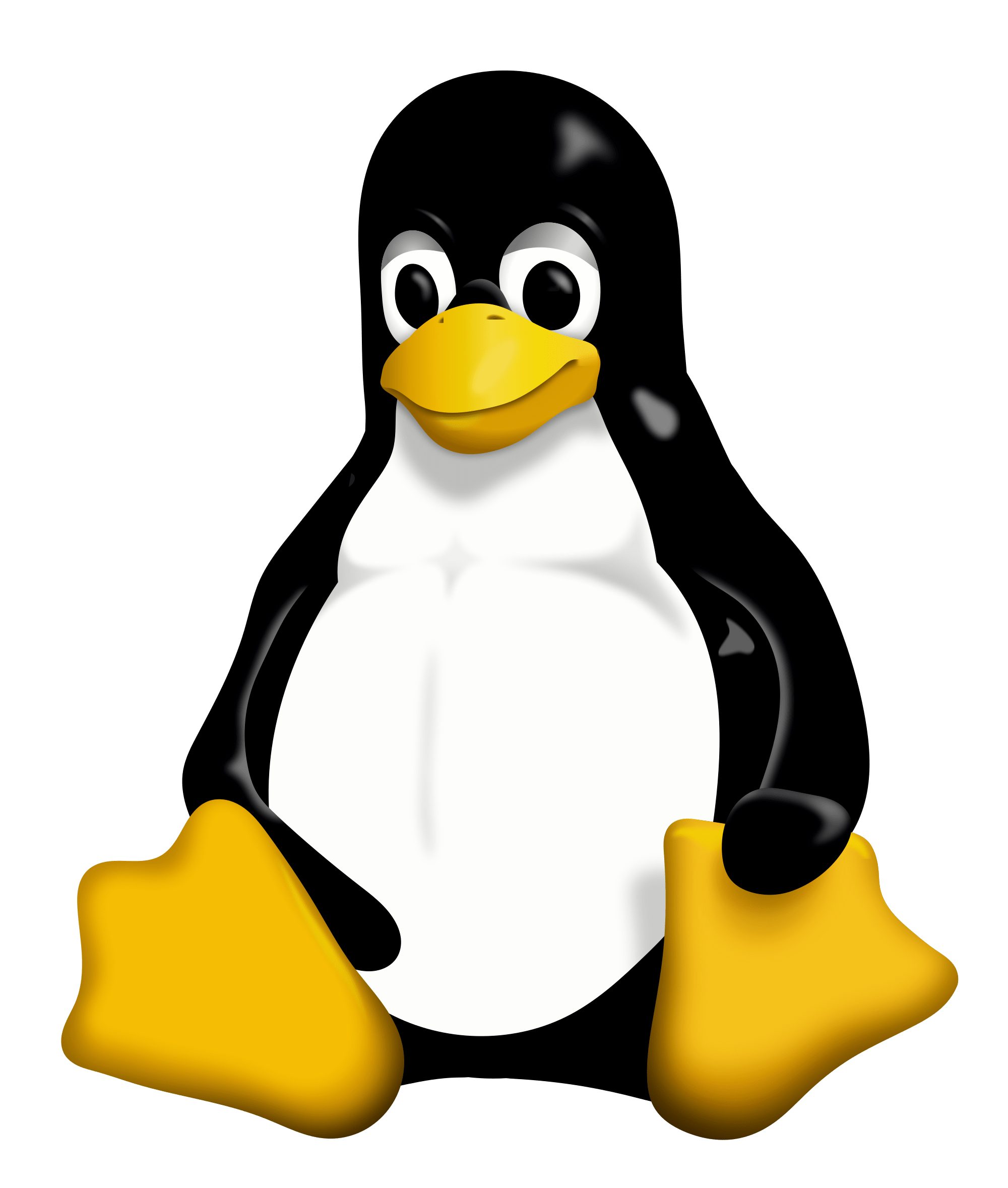 How Do I Find My Ram Details In Linux